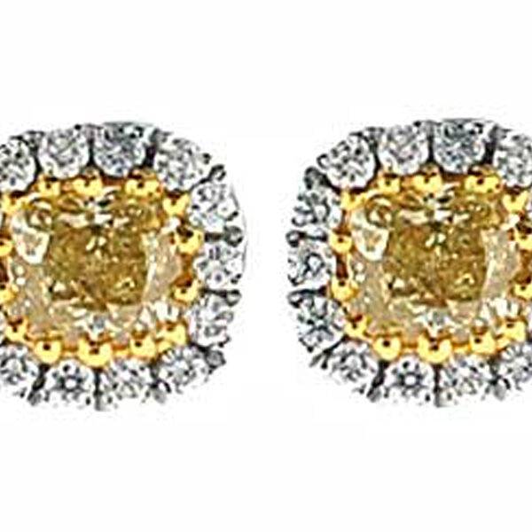 Cushion Cut Fancy Yellow Diamond Post Push Back Stud Earrings with Halo of White Diamonds in 18kt White Gold